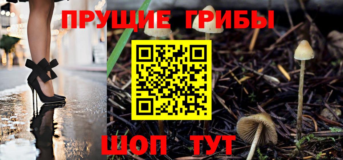 Галлюциногенные грибы мухоморы Бузулук